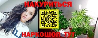 прущие крисы Новокубанск