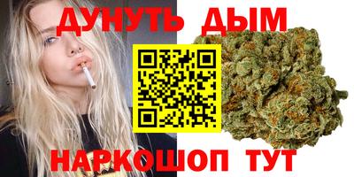 дживик Новозыбков