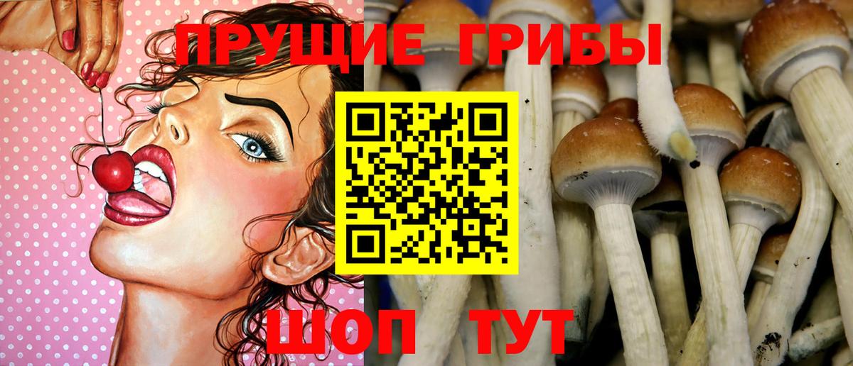 Галлюциногенные грибы Psilocybe  Вход с VPN  Чистополь  Псилоцибиновые грибы Magic Shrooms 