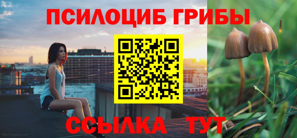 Псилоцибиновые грибы прущие грибы Чистополь
